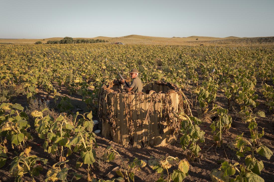 Bird Hunting in Argentina - Terra Pampa 8