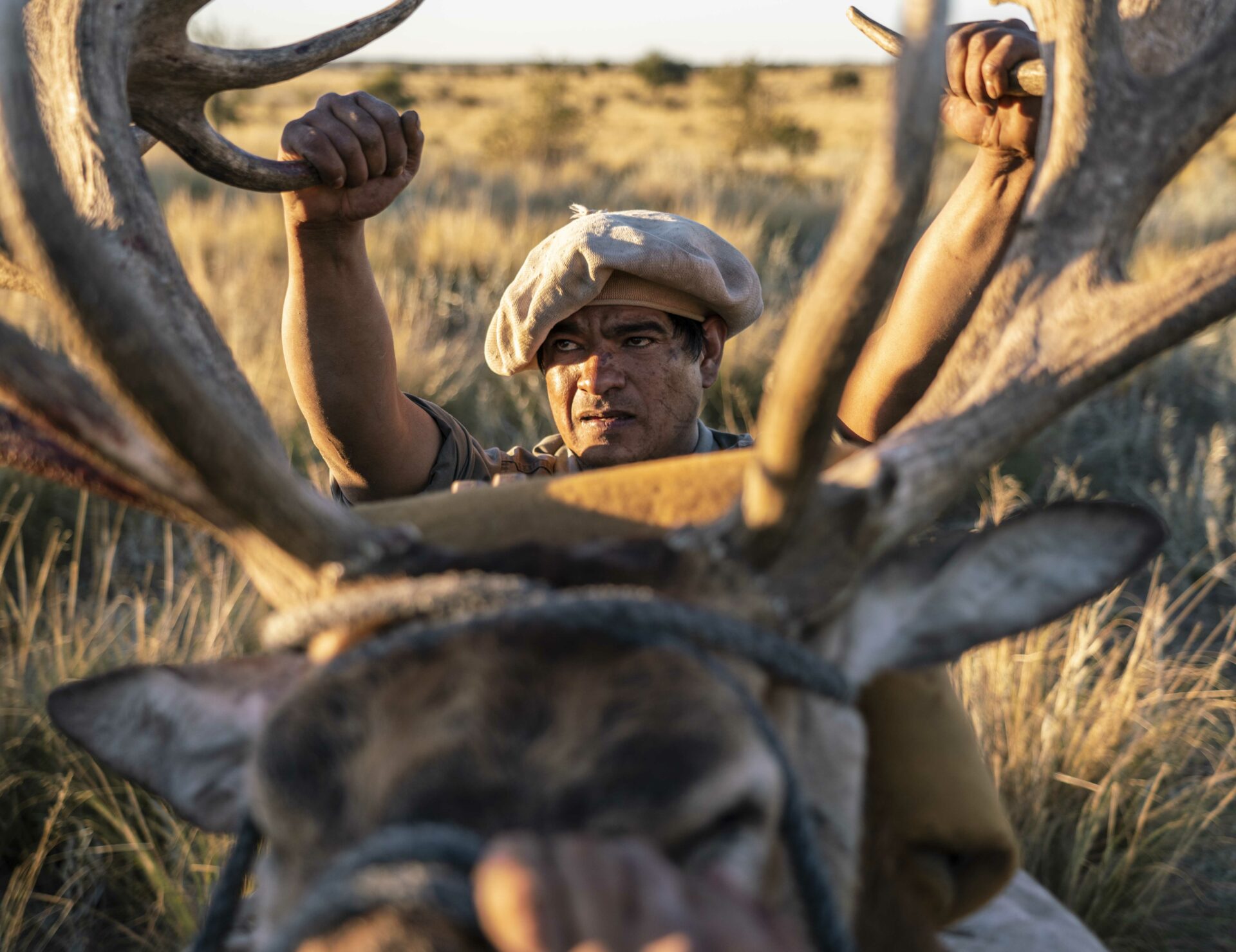 Free Range Red Stag Hunting in Argentina - 1