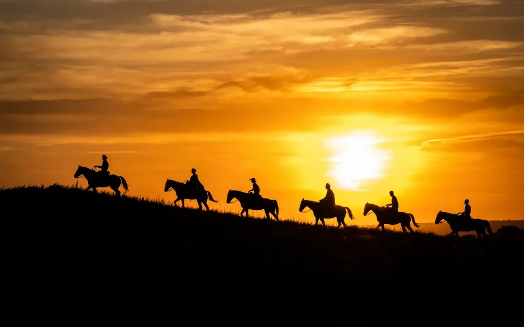 The silence of 85,000 acres