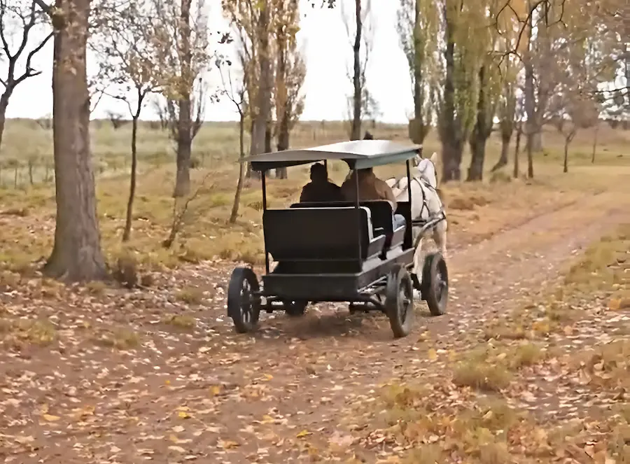Mennonite Carriage